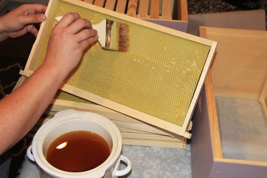 Applying or painting melted beeswax onto the plastic honeycomb foundation of a Langstroth hive frame.