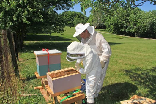Mother teaching her daughter how to separate frames in a Langstroth beehive using a hive tool with green plant background copy space.