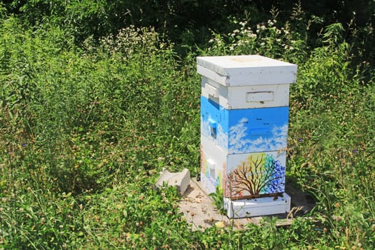 Colorful Langstroth beehive among brilliant copy space of green background of trees, grass and weeds.