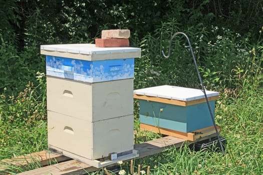 Colorful Langstroth beehive among brilliant green background copy space.