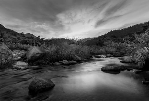 River stone and tree with sky and cloud colorful, View water river tree, Stone river and tree leaf in forest, Black and white and monochrome style