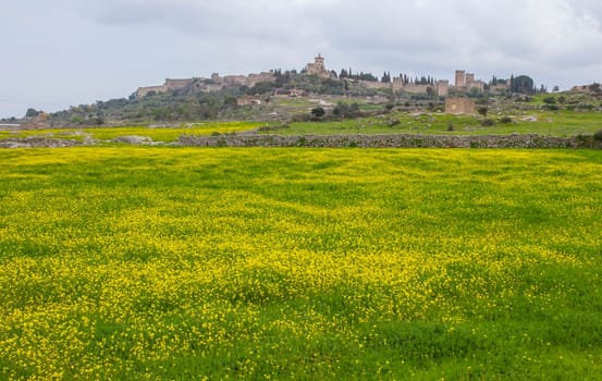General view of Trujillo medieval town from west outskirts. Caceres, Extremadura Spain