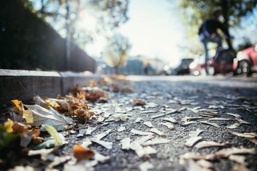 Leaf on the street, autumn, copy space