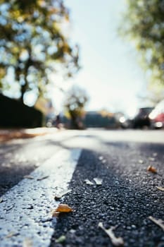Leaf on the street, autumn, copy space