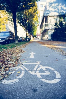 Urban cycle track, autumn with leaves on the floor