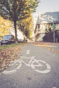 Urban cycle track, autumn with leaves on the floor