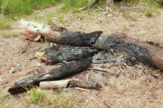 Abandoned extinguished bonfire in the forest black charred and burnt logs