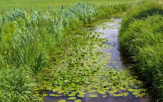German countryside landscape, Lower Rhine Region, Germany