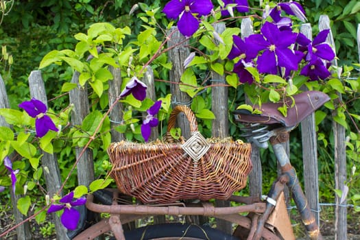 old vintage bicycle with basket on a wooden fence