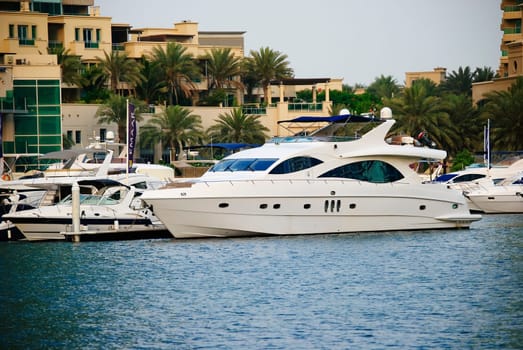 luxury boat docked in Dubai Marina