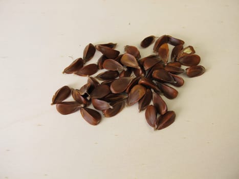 Unshelled beechnuts from the European Beech on a wooden board