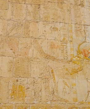 Ancient Egyptian relief on wall in Hatshepsut temple, Egypt