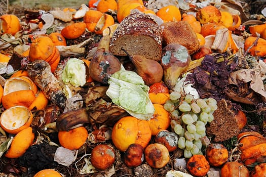 Discarded and spoiled food in a trash pile. Compostable organic waste