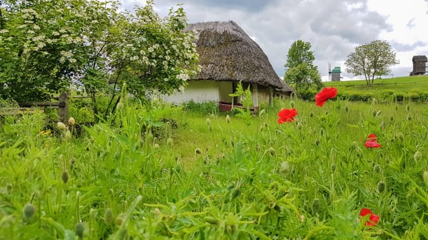 Ukraine, Kiev - June 11, 2020. The old house of peasants in the museum Pirogovo. National Museum of Folk Architecture and Everyday Life of Traditional Folklore Houses of Different Regions of Ukraine.