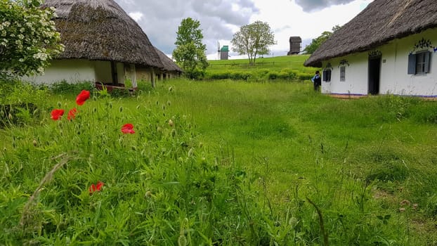 Ukraine, Kiev - June 11, 2020. The old house of peasants in the museum Pirogovo. National Museum of Folk Architecture and Everyday Life of Traditional Folklore Houses of Different Regions of Ukraine.