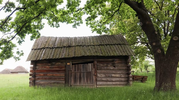 Ukraine, Kiev - June 11, 2020. Old peasant Ukrainian house or barn in the summer with a thatched roof in the village. Pirogovo Museum in the open air of different regions of Ukraine