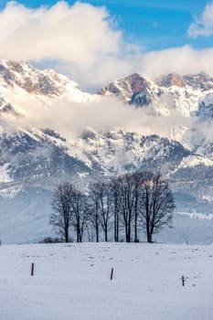 Snowy mountains, meadow and trees, landscape in Austria, panorama