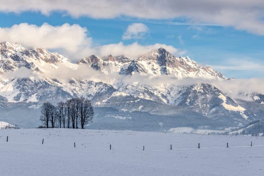 Snowy mountains, meadow and trees, landscape in Austria, panorama