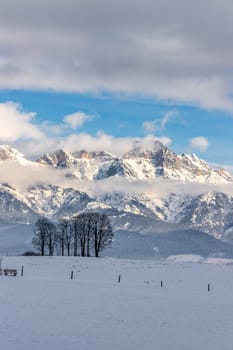 Snowy mountains, meadow and trees, landscape in Austria, panorama