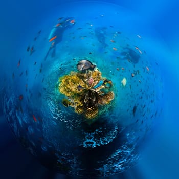 Group of scuba divers exploring coral reef. Underwater sports and tropical vacation.