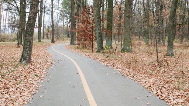Walkway in the park with a yellow marking line on the asphalt. In the background, trees and bushes are already in yellow and orange leaves. Warm weather, sunny day. Autumn empty park without people.