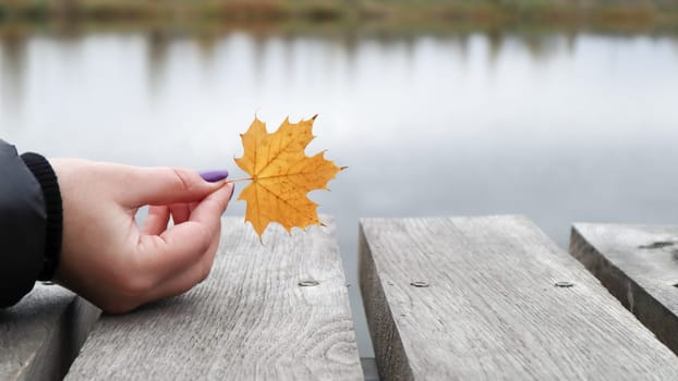 A yellow leaf in the girls hand on a wooden bridge by the lake in the park. Autumn, Thanksgiving and lifestyle concept. A fallen yellow leaf in his hand. Nature