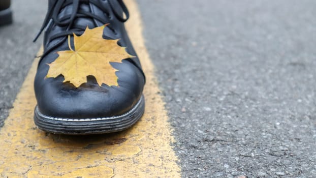 A beautiful combination of a yellow maple autumn leaf next to the yellow road markings and the legs of a girl in black boots in the park. Autumn concept, beautiful background with copy space.