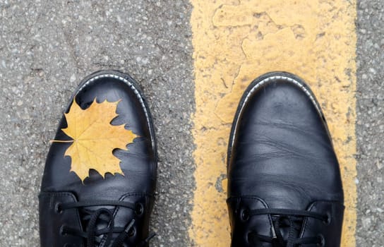 A beautiful combination of a yellow maple autumn leaf next to the yellow road markings and the legs of a girl in black boots in the park. Autumn concept, beautiful background with copy space.