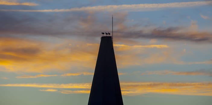 Galisteo, beautiful walled town from Alagon Valley. Storks perched over La Picota tower at dusk. Extremadura, Spain