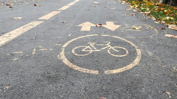Bicycle lane on the side of a city road in the fall. Road marking in the form of two oncoming arrows on an asphalt path in the autumn park. Fallen leaves in the forest. Fall season concept.