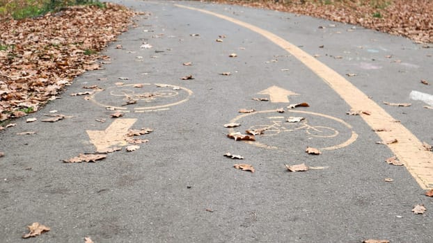 Bicycle lane on the side of a city road in the fall. Road marking in the form of two oncoming arrows on an asphalt path in the autumn park. Fallen leaves in the forest. Fall season concept.