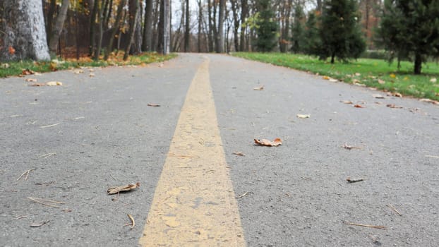 Walkway in the park with a yellow marking line on the asphalt. In the background, trees and bushes are already in yellow and orange leaves. Warm weather, sunny day. Autumn empty park without people.