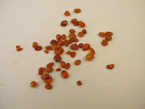 Honey yellow polished amber stones, natural amber from the Baltic Sea