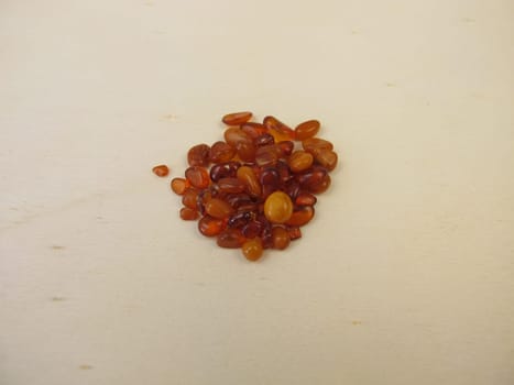 Honey yellow polished amber stones, natural amber from the Baltic Sea