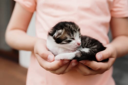 Little girl holding a little kitten with closed eyes in her arms. Pet care concept. Child playing with adorable newborn cat. High quality photo