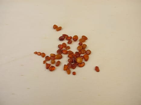 Honey yellow polished amber stones, natural amber from the Baltic Sea