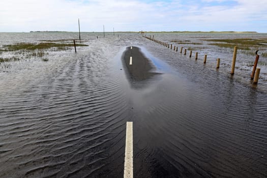 High water has completely flooded a road. Dangerous storm with a lot of rain