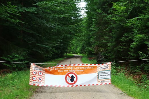 In a forest the road is closed with a poster Attention tree cutting danger to life