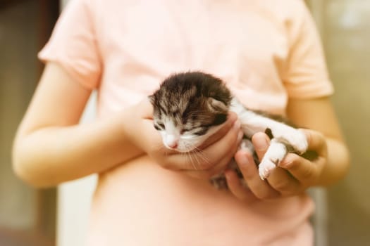 Little girl holding a little kitten with closed eyes in her arms. Pet care concept. Child playing with adorable newborn cat. High quality photo