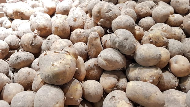 fresh potato with traces of earth on the skin, raw potatoes.