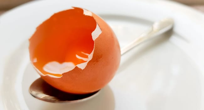 broken chicken egg in a white plate and spoon close-up. background with a broken chicken egg.