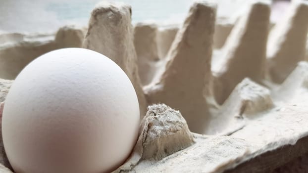 There is only one egg left - a side view. Lonely egg.