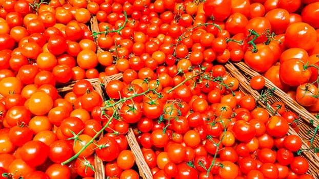 Red tomatoes in a box on a shelf in a supermarket. Red tomatoes with tails in a plastic container top view.