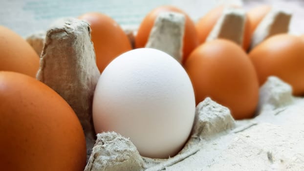 Close up view of raw chicken eggs in an egg box.