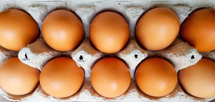 Close up view of raw chicken eggs in an egg box.