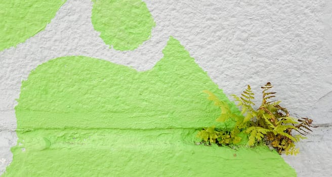 green grass on a gray concrete wall background, uneven wall surface and grass, background image. Gray concrete wall with grass floor texture for background design