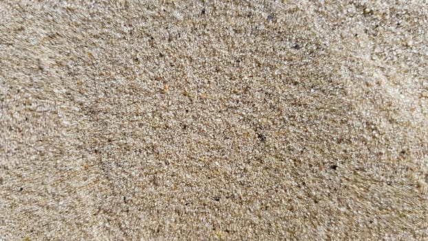 Top view of the sandy beach. Background with copy space and visible sand texture. Background of fine sand. Sand background.