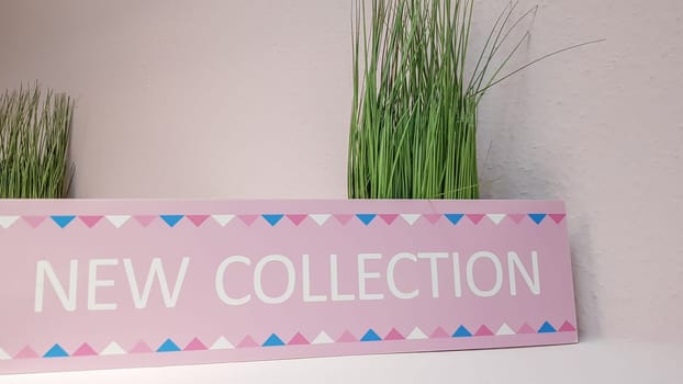 Close-up of a new pink collection plate on a shelf with green flowers on a light wall background with copy space. A new collection of women's clothing