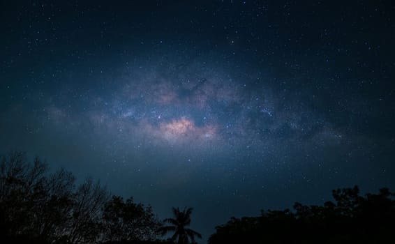 milky way over forest on night