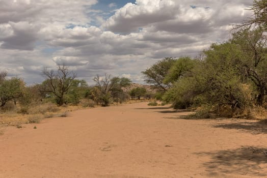 dry river in the south of Karibib, Erongo, Namibia